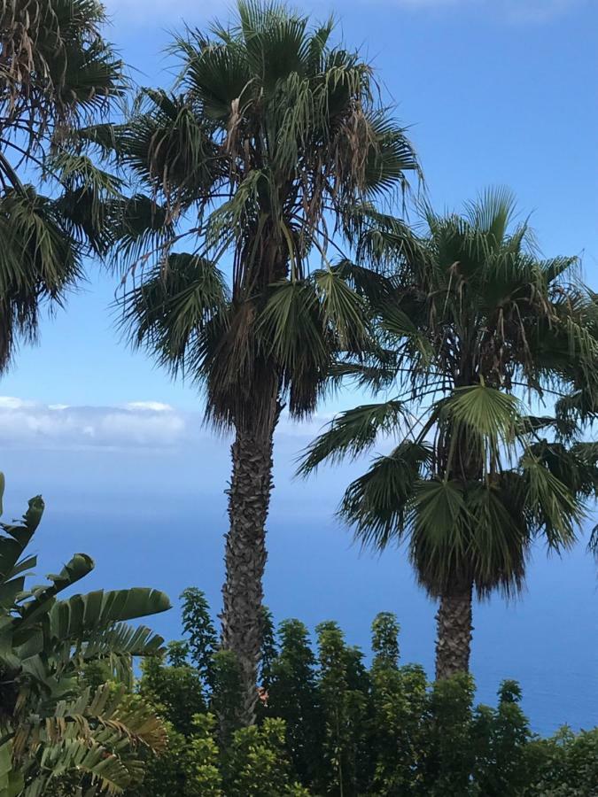 Apartmán Playa Bonita Caleta de Interián Exteriér fotografie